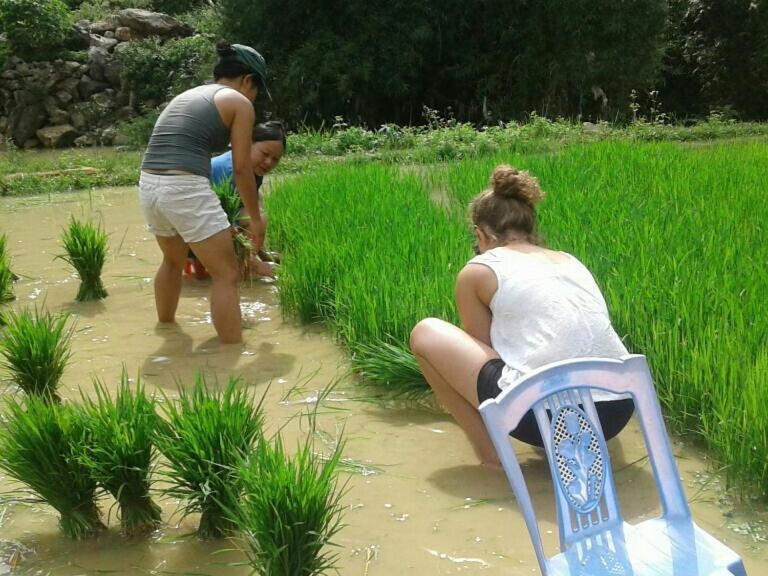 Yen Nhi Homestay Ban Gioc カオバン エクステリア 写真